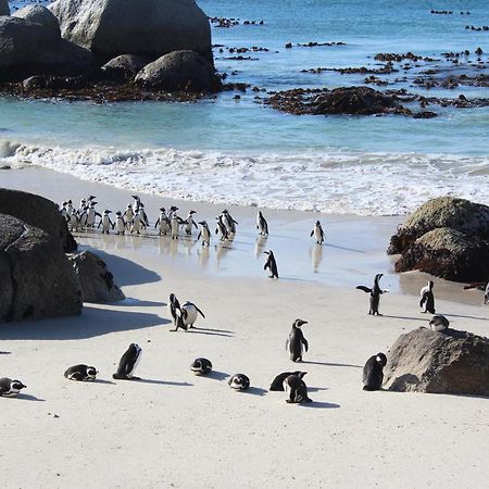 Boulders Beach House Simonʼs Town Extérieur photo